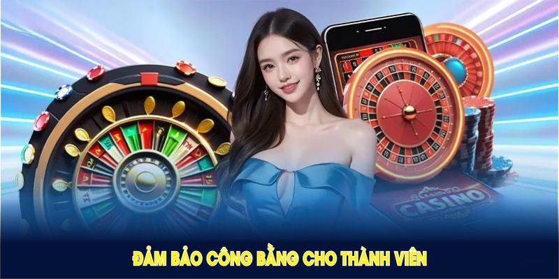Điều khoản dịch vụ cho thành viên