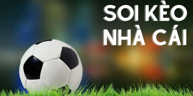 Giới Thiệu Về Cách Soi Kèo Nhà Cái